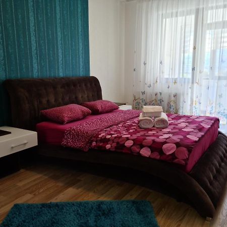 Premium Apartment Isaran Braszów Zewnętrze zdjęcie